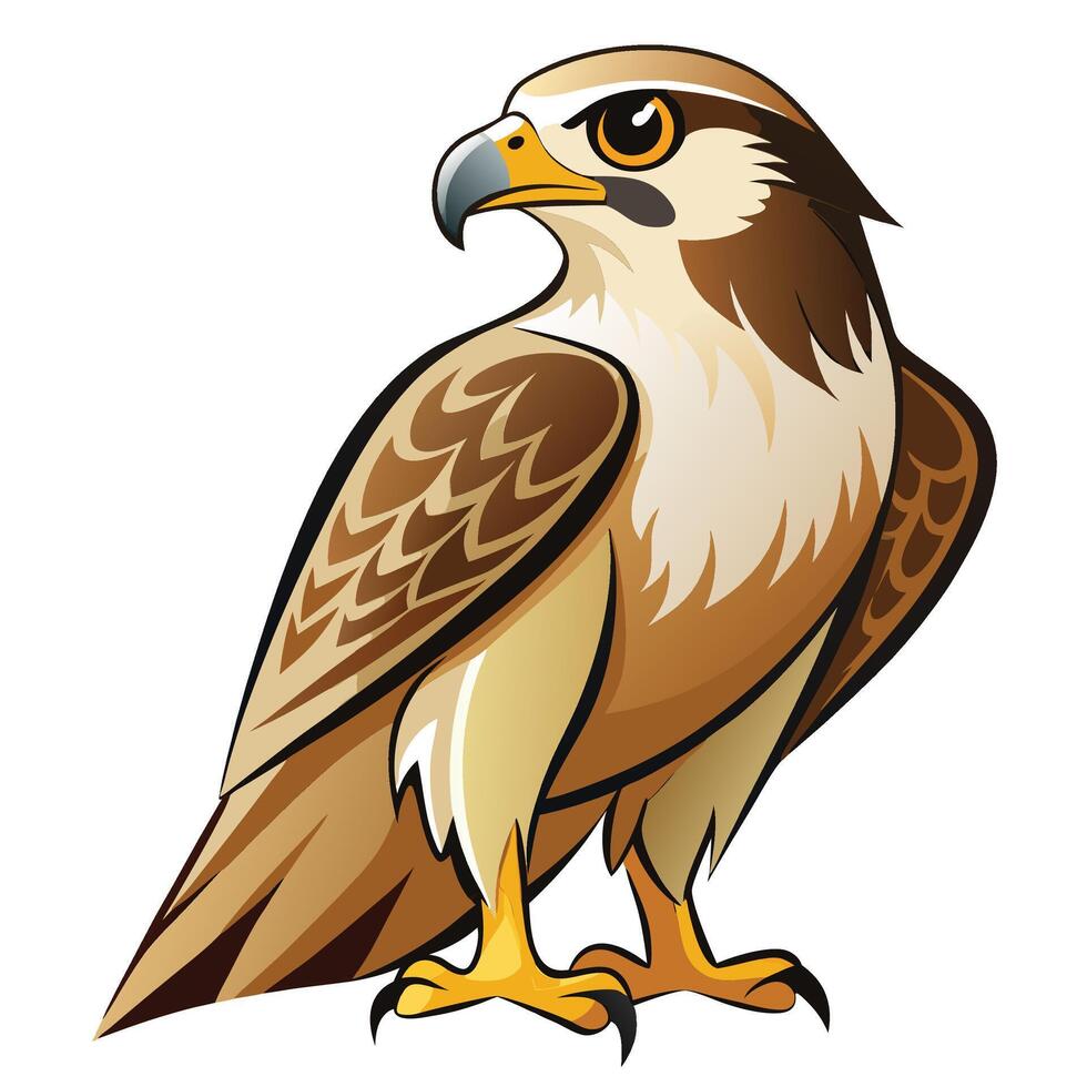a cartoon hawk standing on one leg vector
