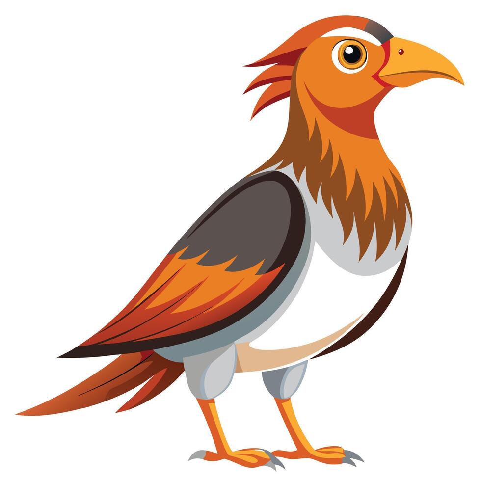 a cartoon bird with orange and white feathers vector
