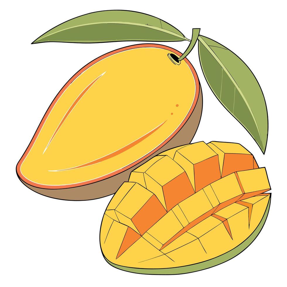 a mango and a half cut open vector