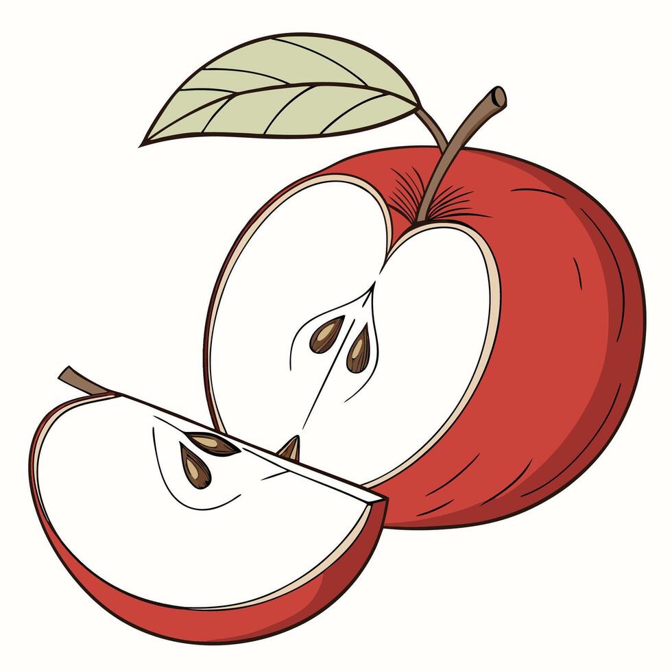 a red apple with a leaf on it and a slice cut in half vector
