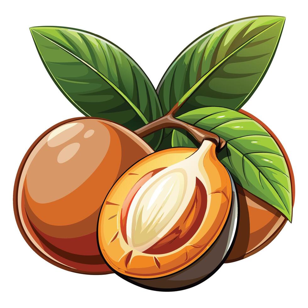 tropical fruit with leaves and half open vector
