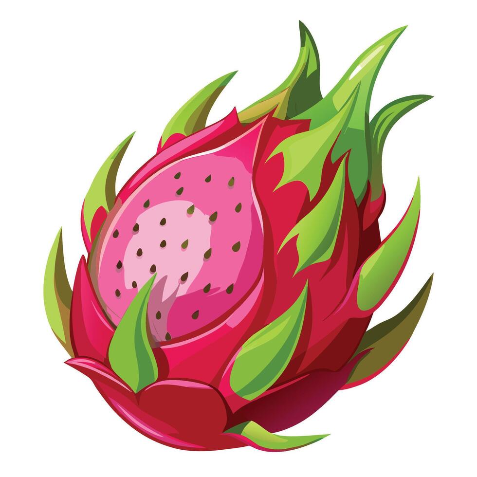 a dragon fruit is shown on a white background vector