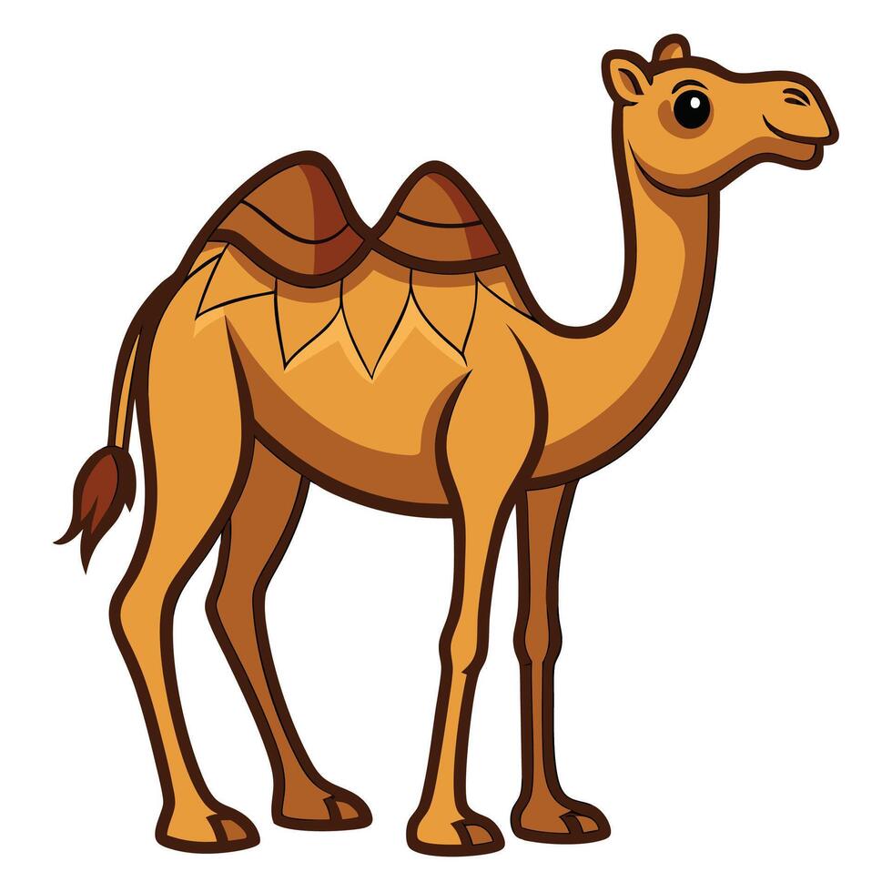 cartoon camel isolated on white background vector