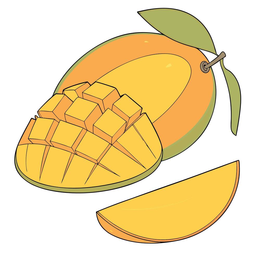 mango illustration art vector