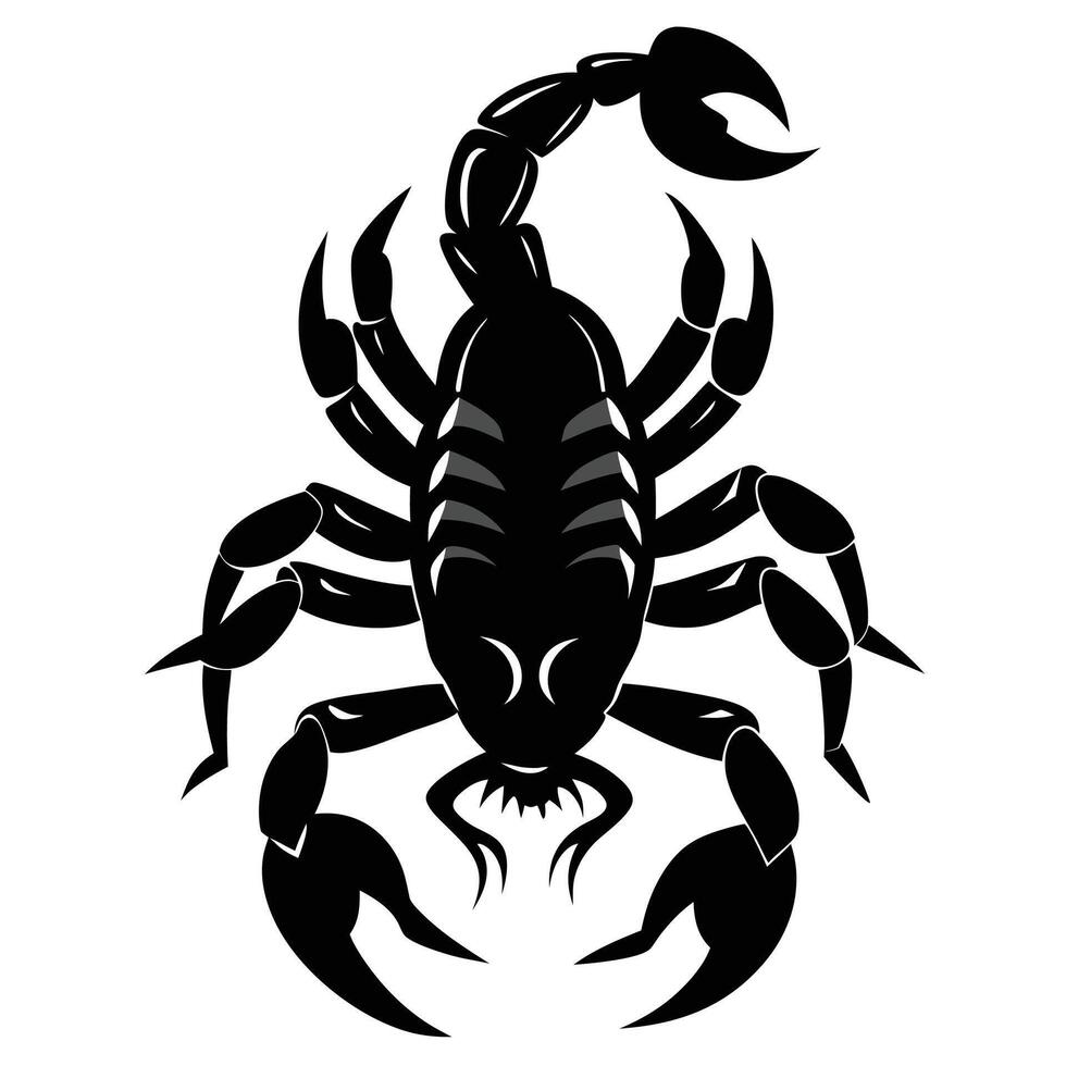 scorpion black silhouette on white background vector