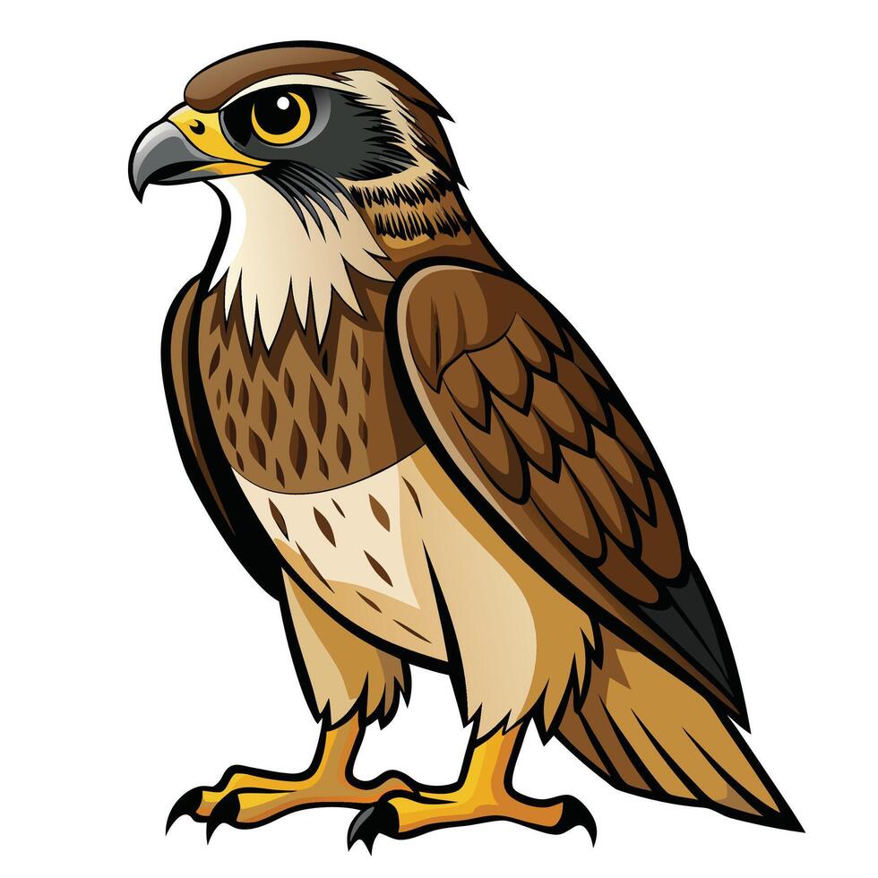 a cartoon hawk standing on one leg vector