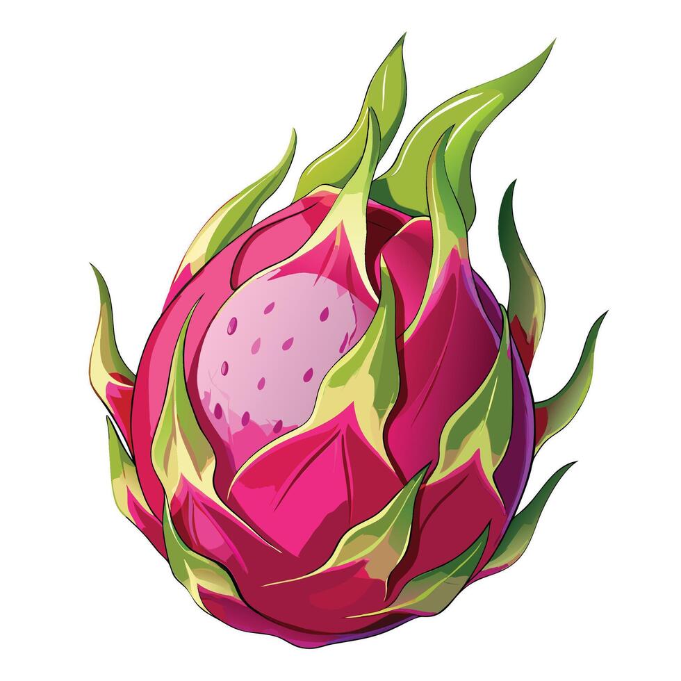 dragon fruit, dragon fruit, dragon fruit, dragon fruit, dragon fruit, dragon fruit, dragon vector