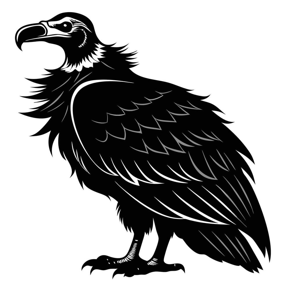 black and white illustration of a vulture vector