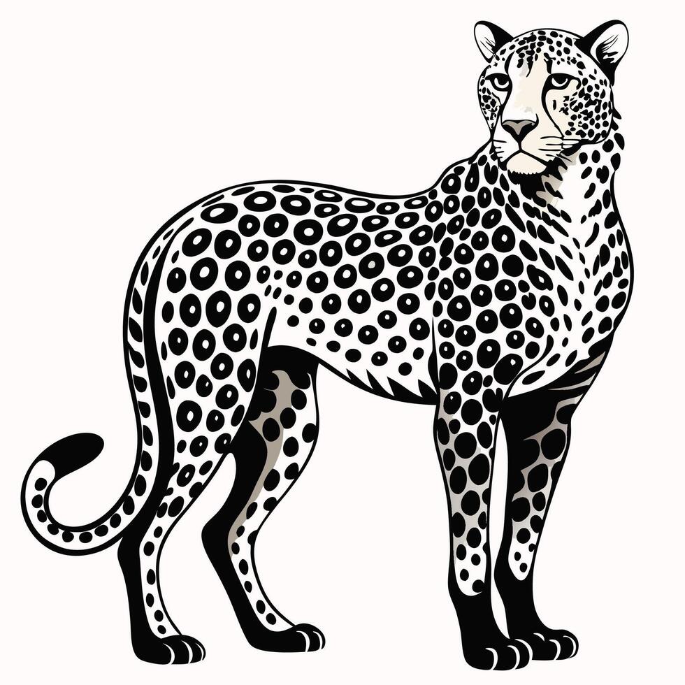 illustration of a leopard standing on white background vector