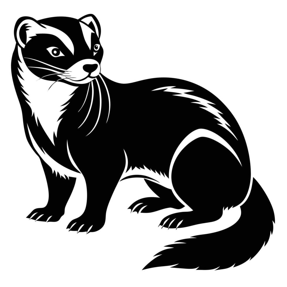 illustration of a black and white badger vector