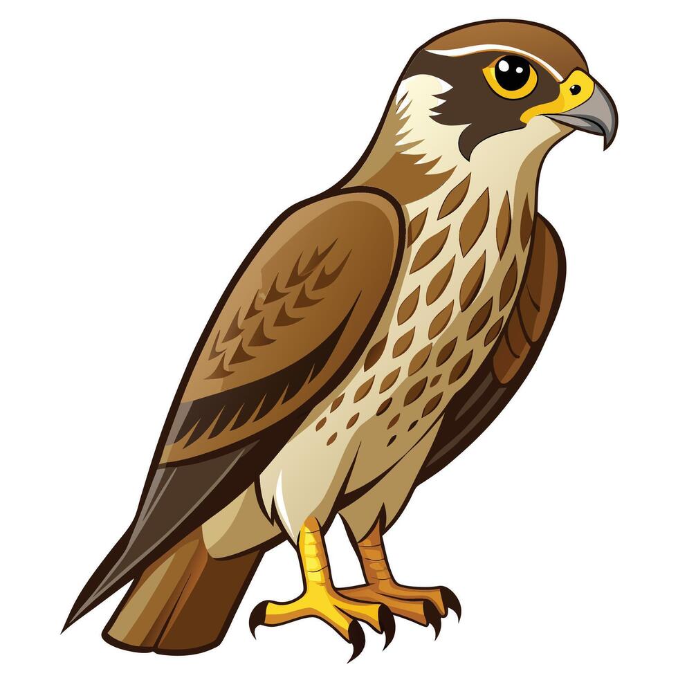 a cartoon bird of prey standing on one leg vector