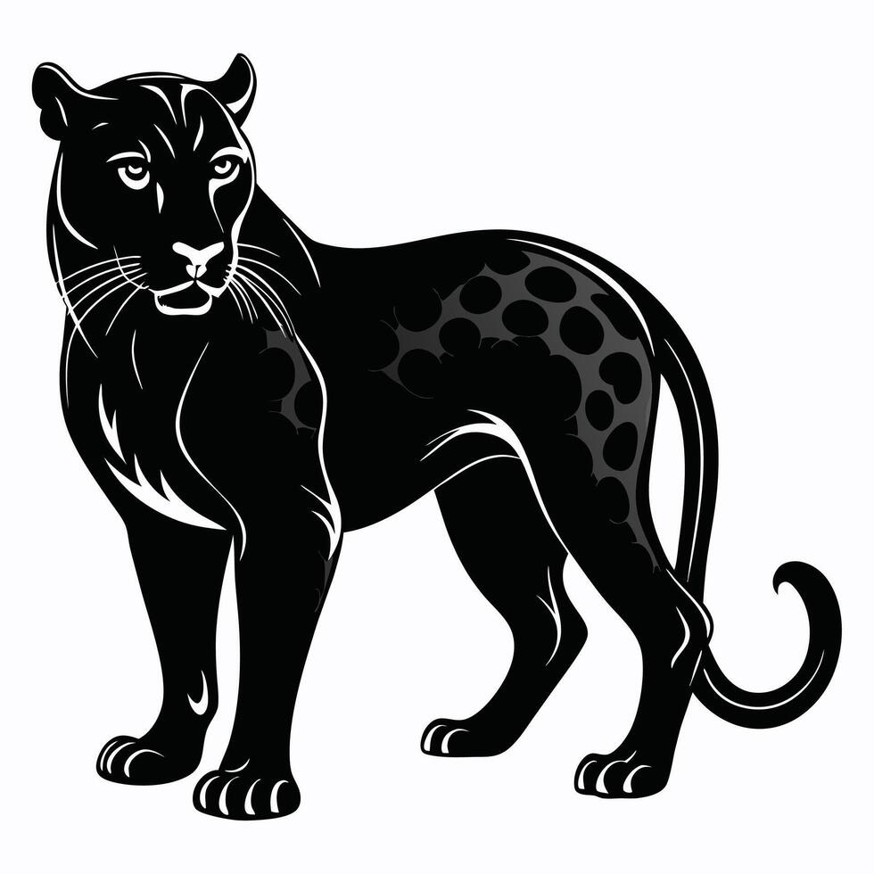black panther standing on white background vector