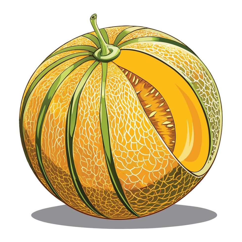 a melon with a cut in it and a slice vector
