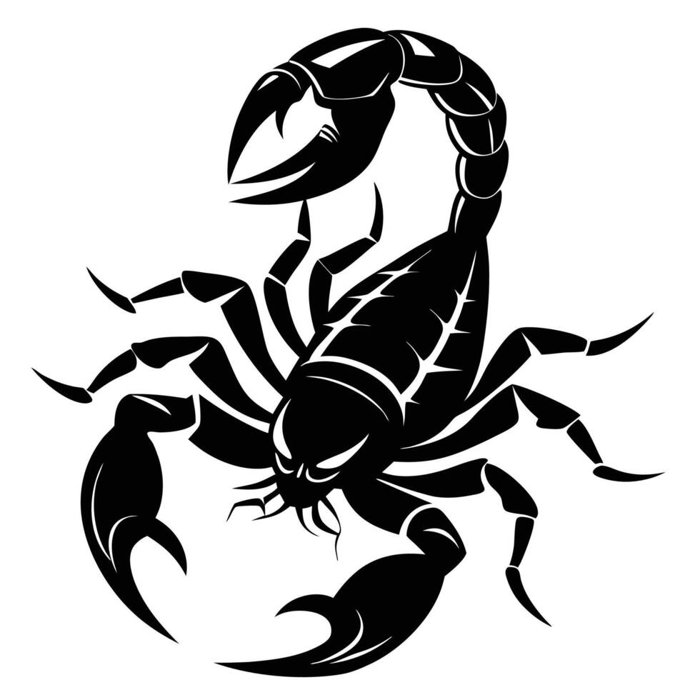 scorpion tattoo design illustration vector