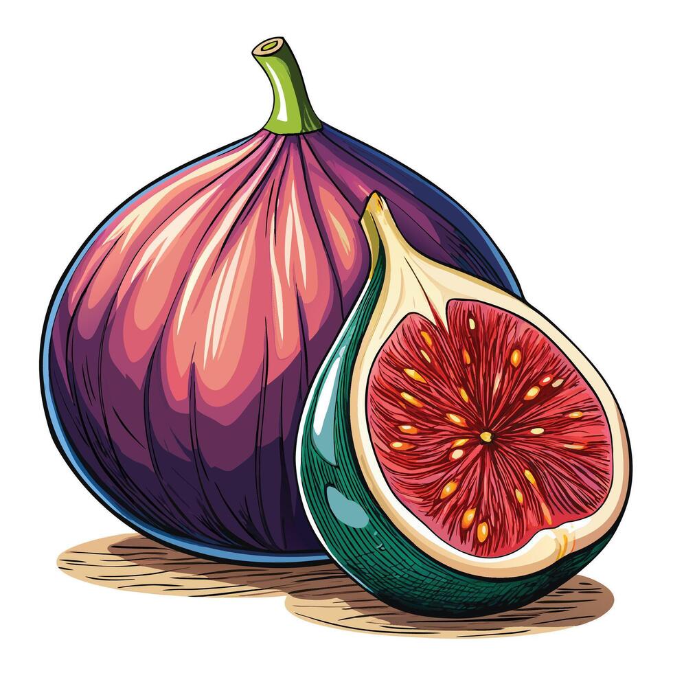 figs designs art vector