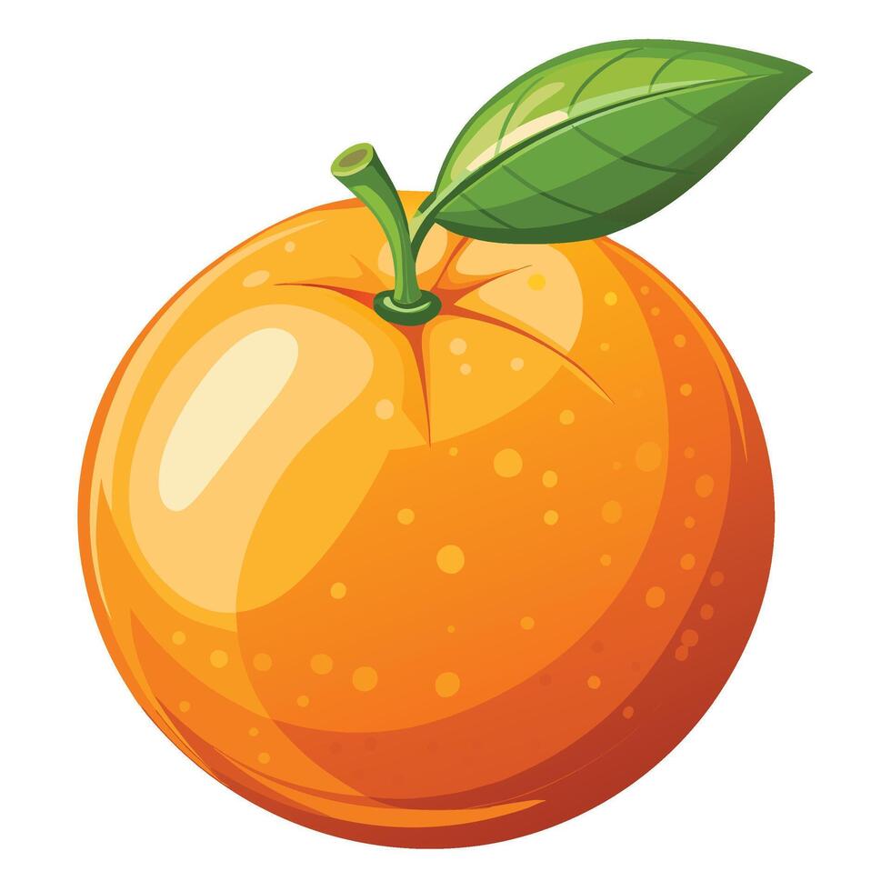 orange fruit illustration vector