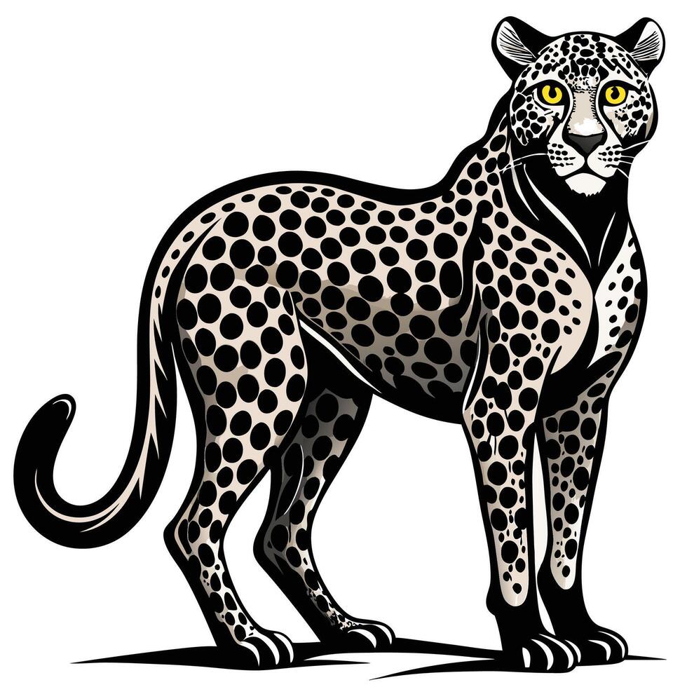 a leopard standing on a white background vector