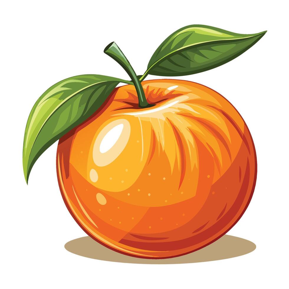 an orange with a leaf on it vector