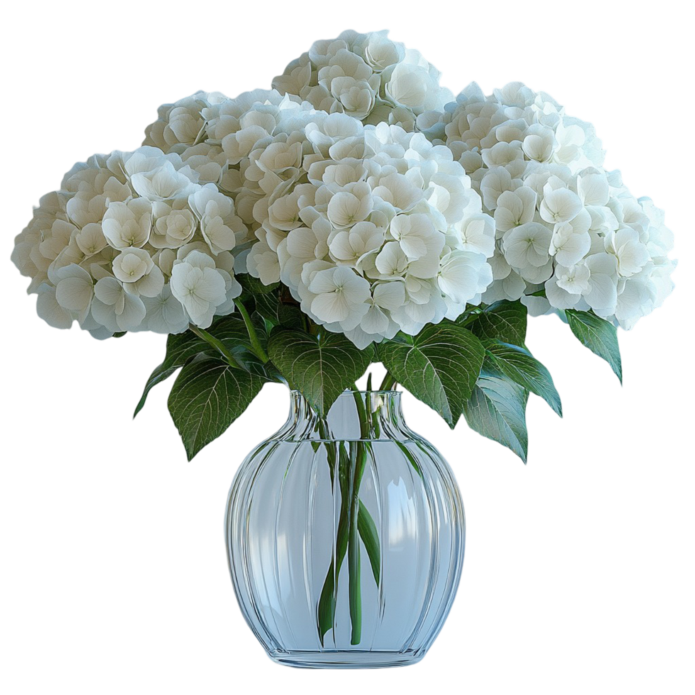 Beautiful White Flowers in a Vase on Transparent Background png