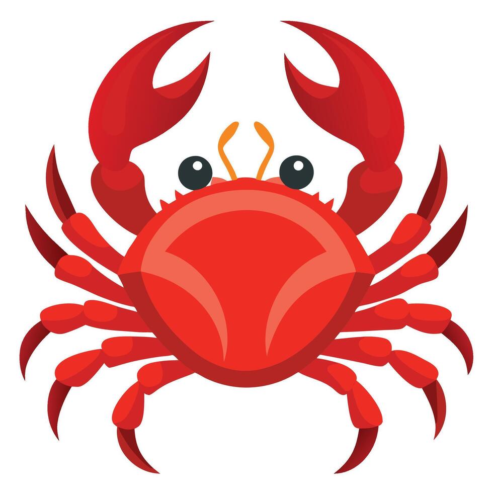 a red crab on a white background vector