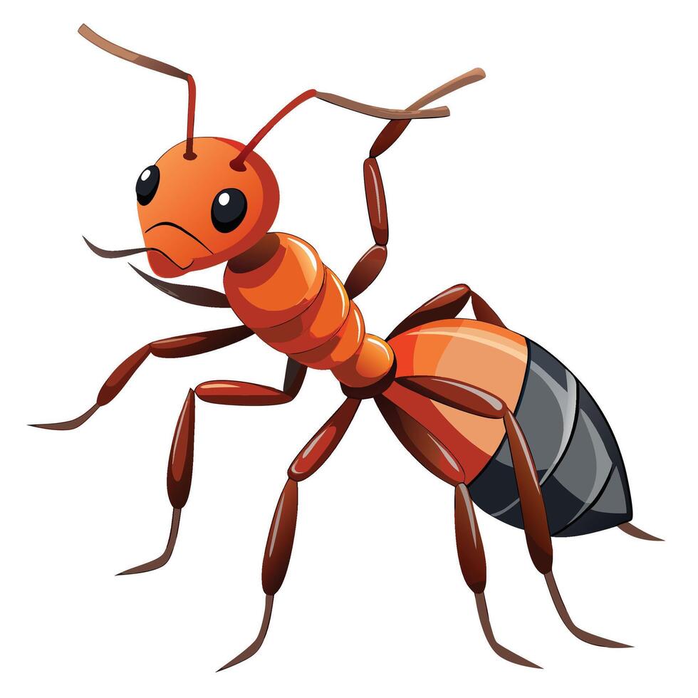 an ant with a big black and orange body vector