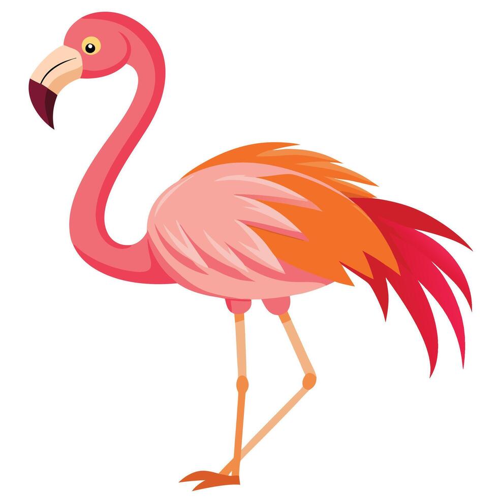 flamingo cartoon illustration vector