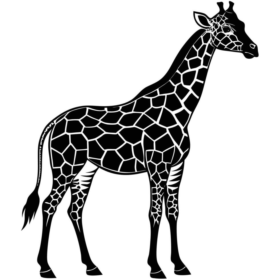 a black and white drawing of a giraffe vector