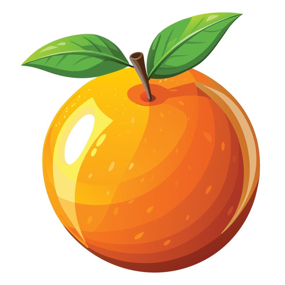 orange fruit with leaf illustration vector