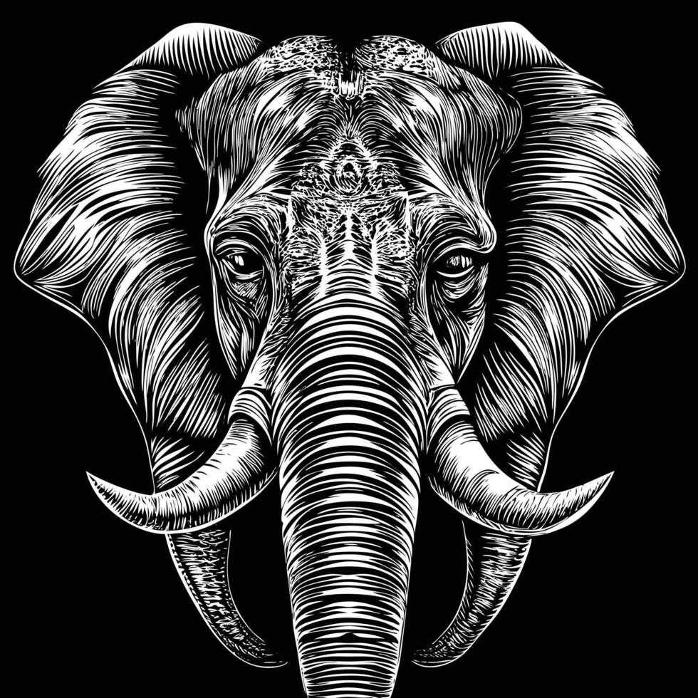 an elephant head in a black and white drawing vector