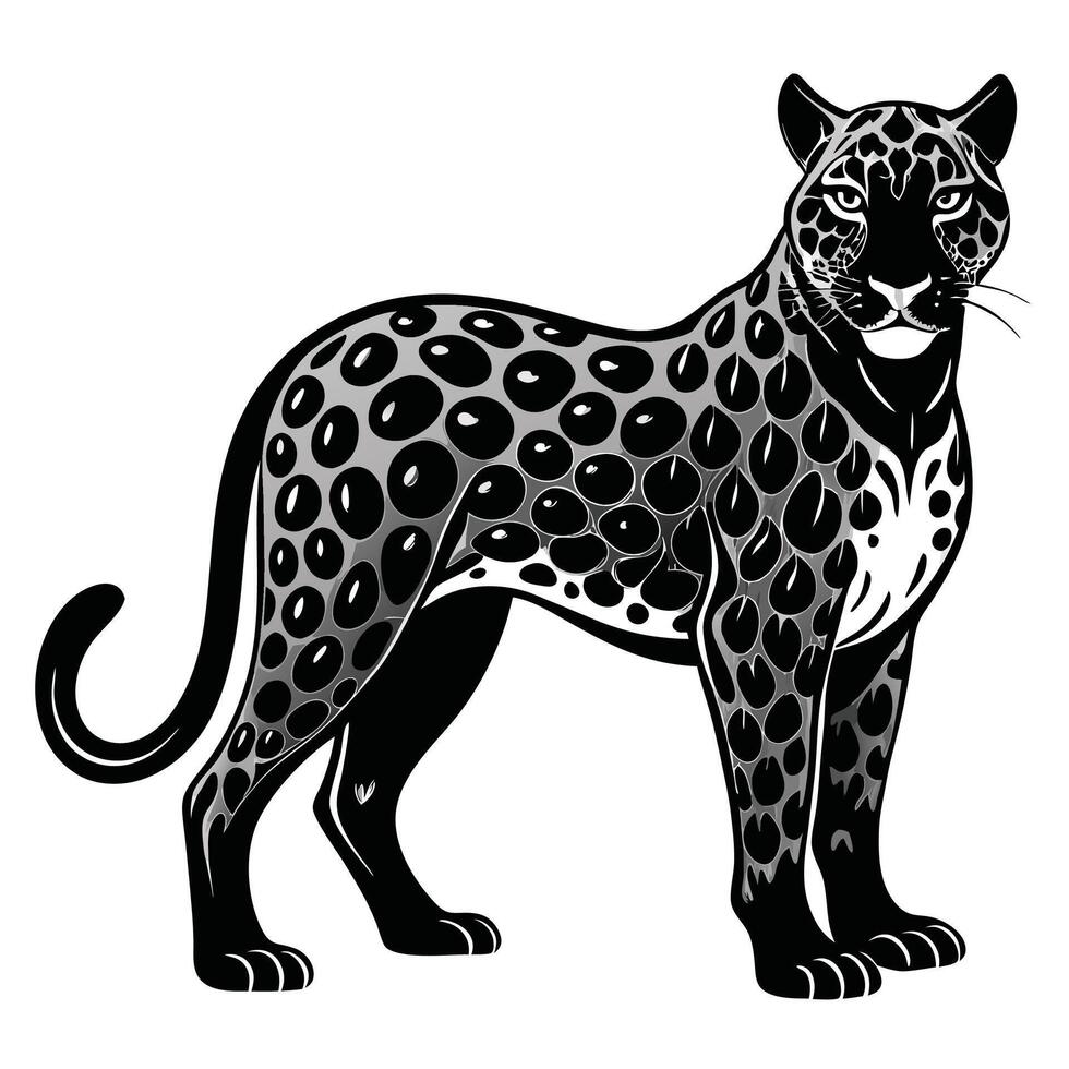 jaguar black and white illustration vector