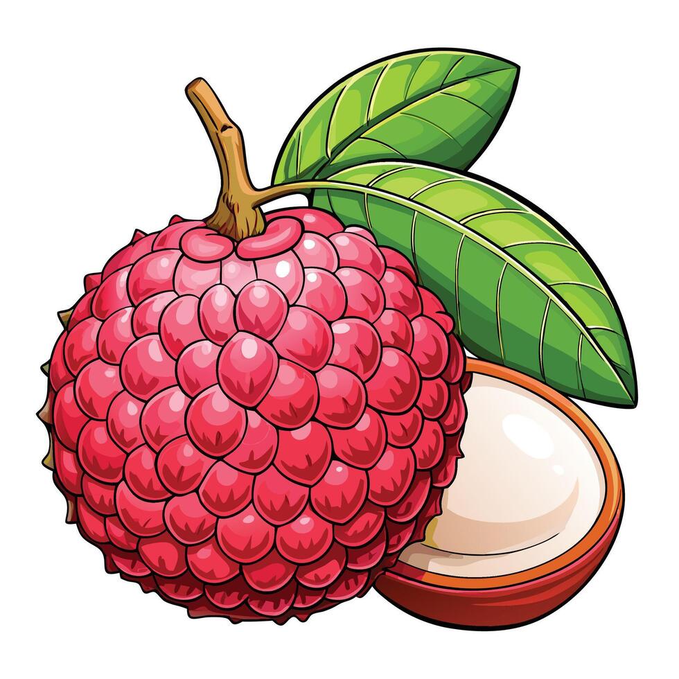 a red rambutan fruit with leaves and a half open vector