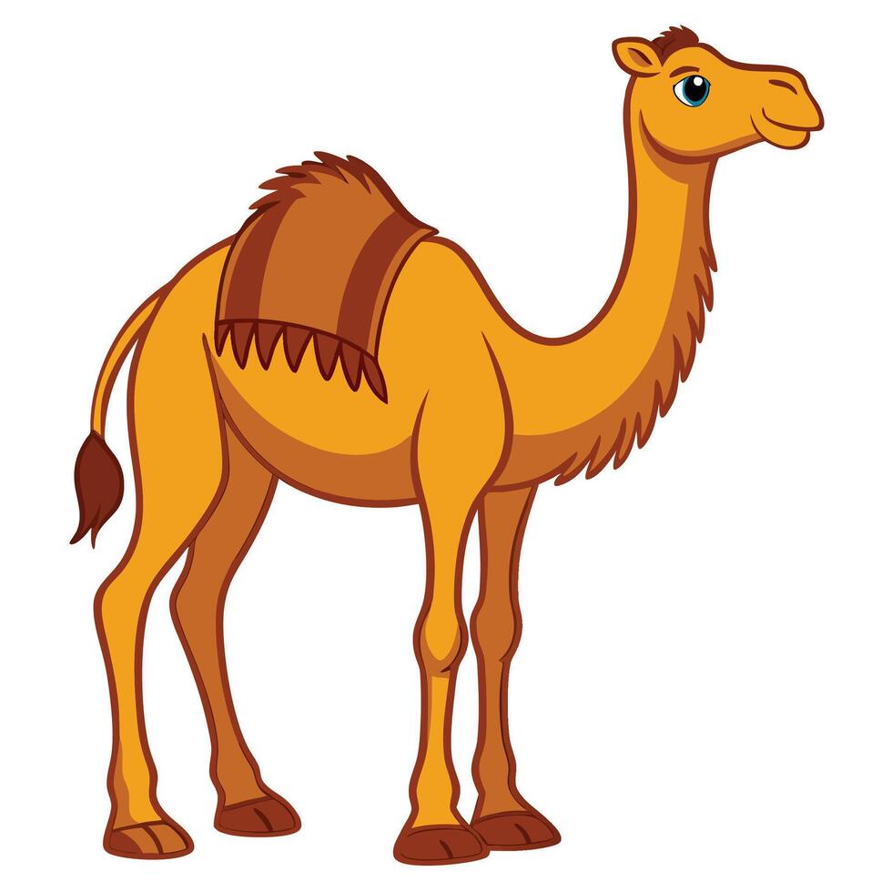 cartoon camel isolated on white background vector