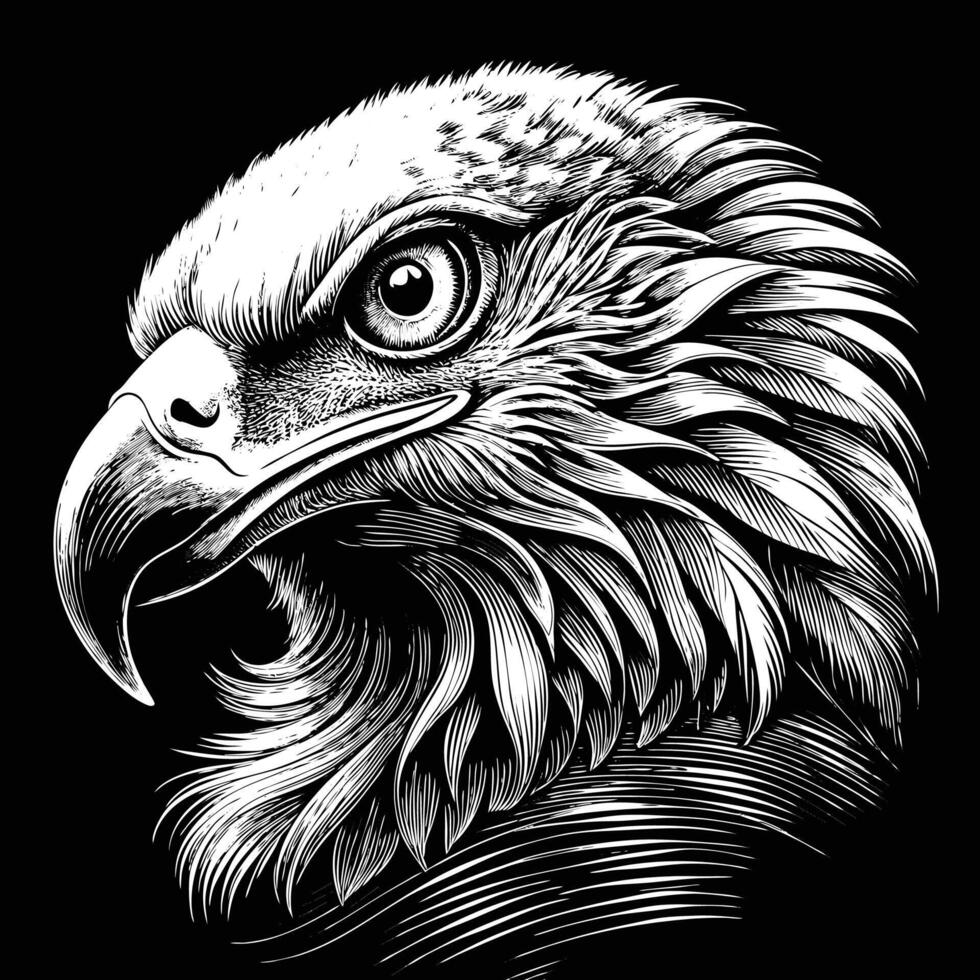 an eagle head in a black and white drawing vector