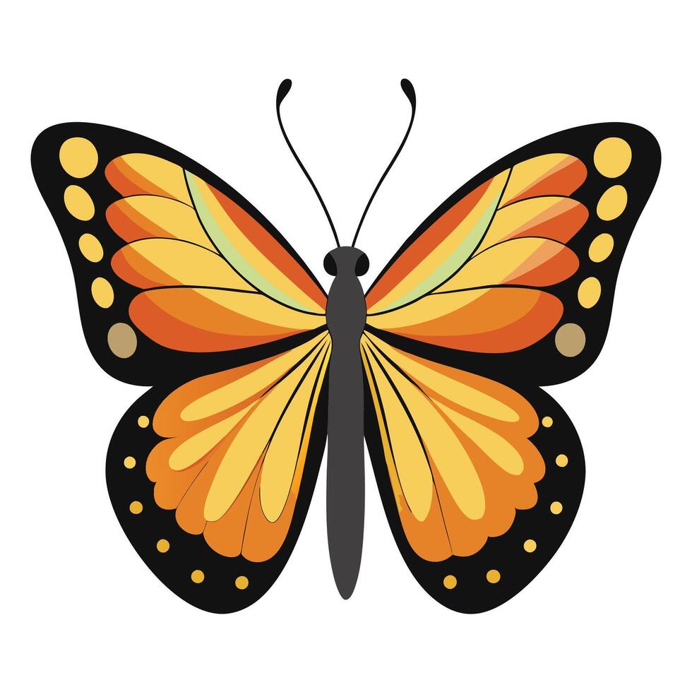 butterfly illustration designs vector