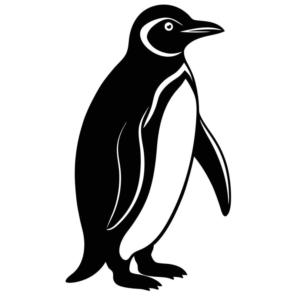 a penguin is standing in front of a white background vector
