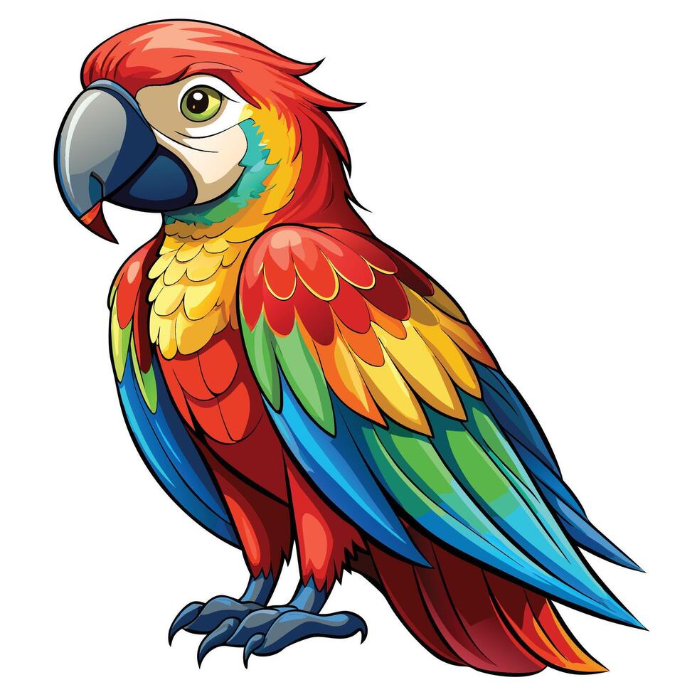illustration of a colorful parrot vector