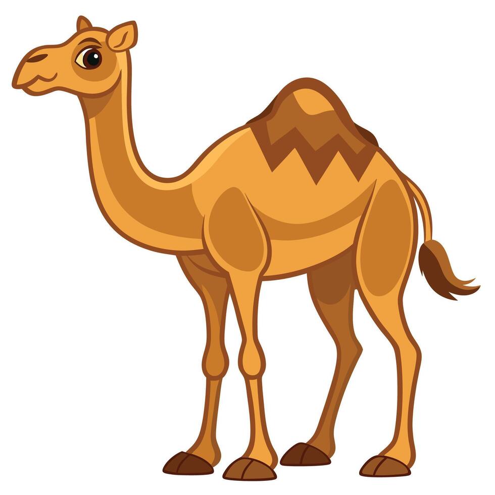 cartoon camel isolated on white background vector