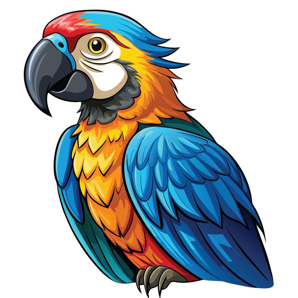 illustration of a colorful parrot vector