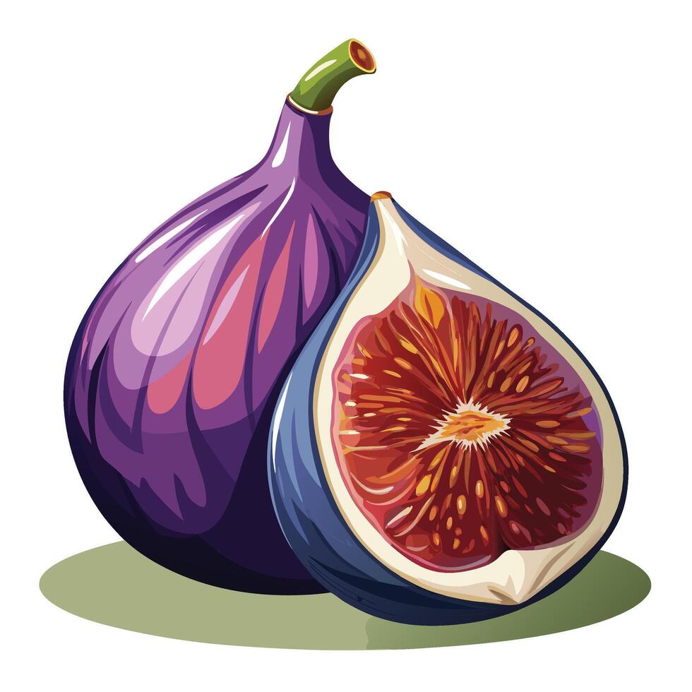 figs designs art vector