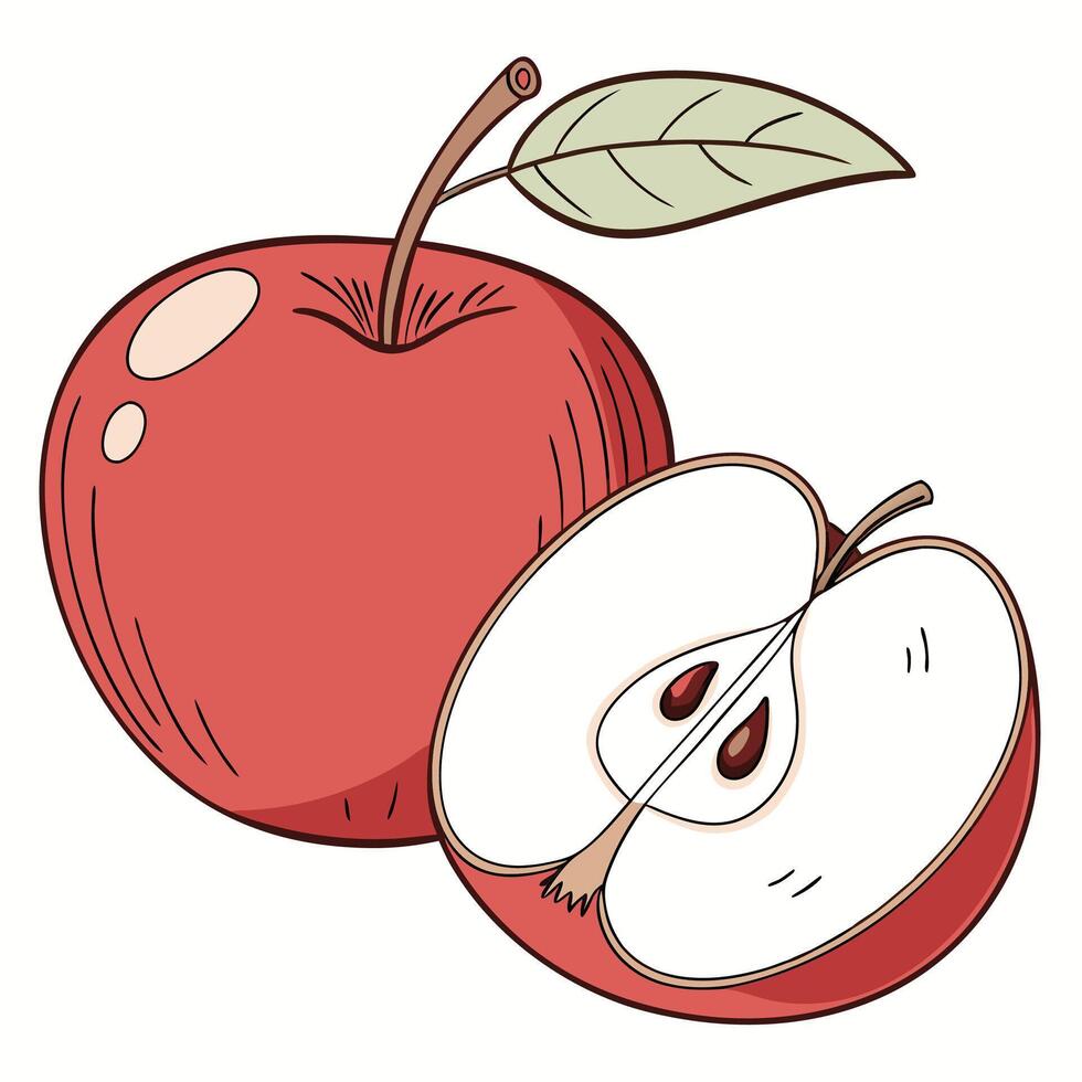 red apple with slice and leaf illustration vector