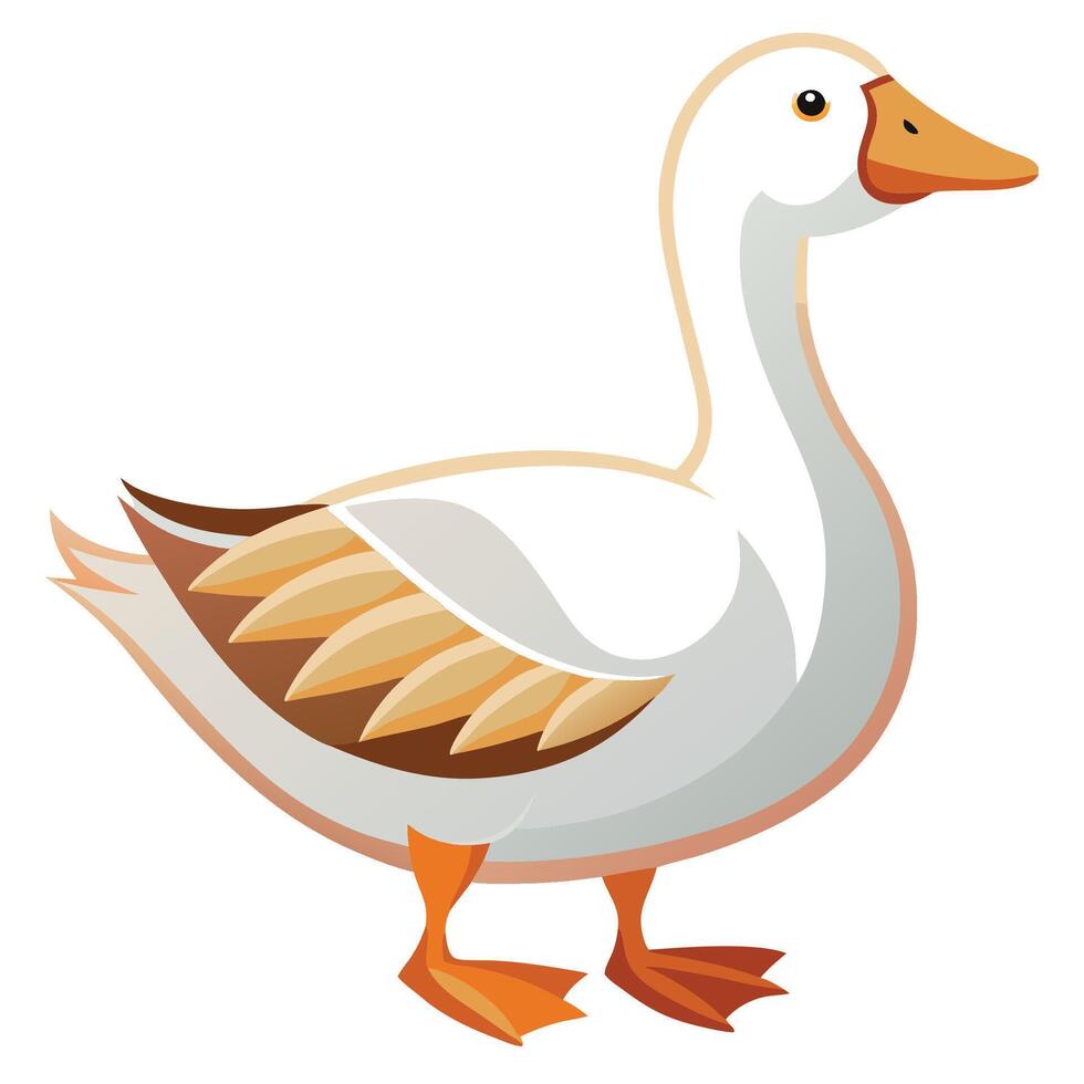 a cartoon duck standing on a white background vector