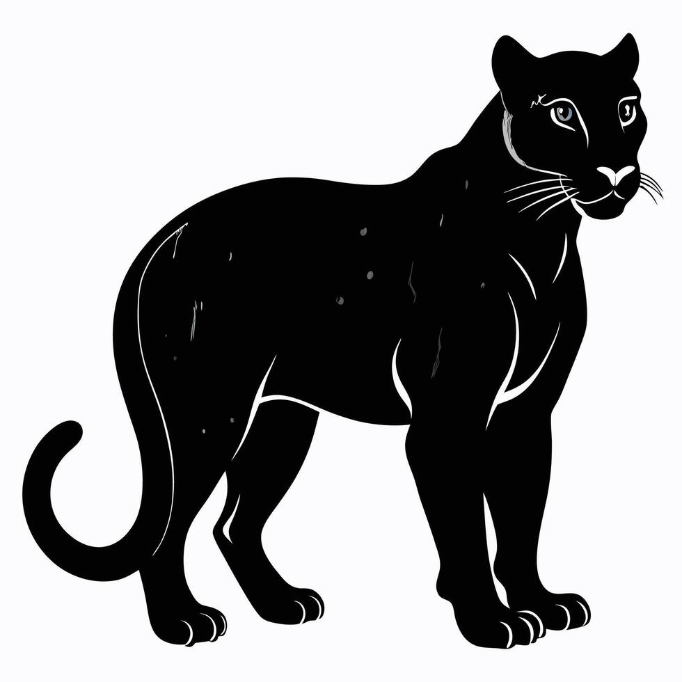 a black panther standing on a white background vector