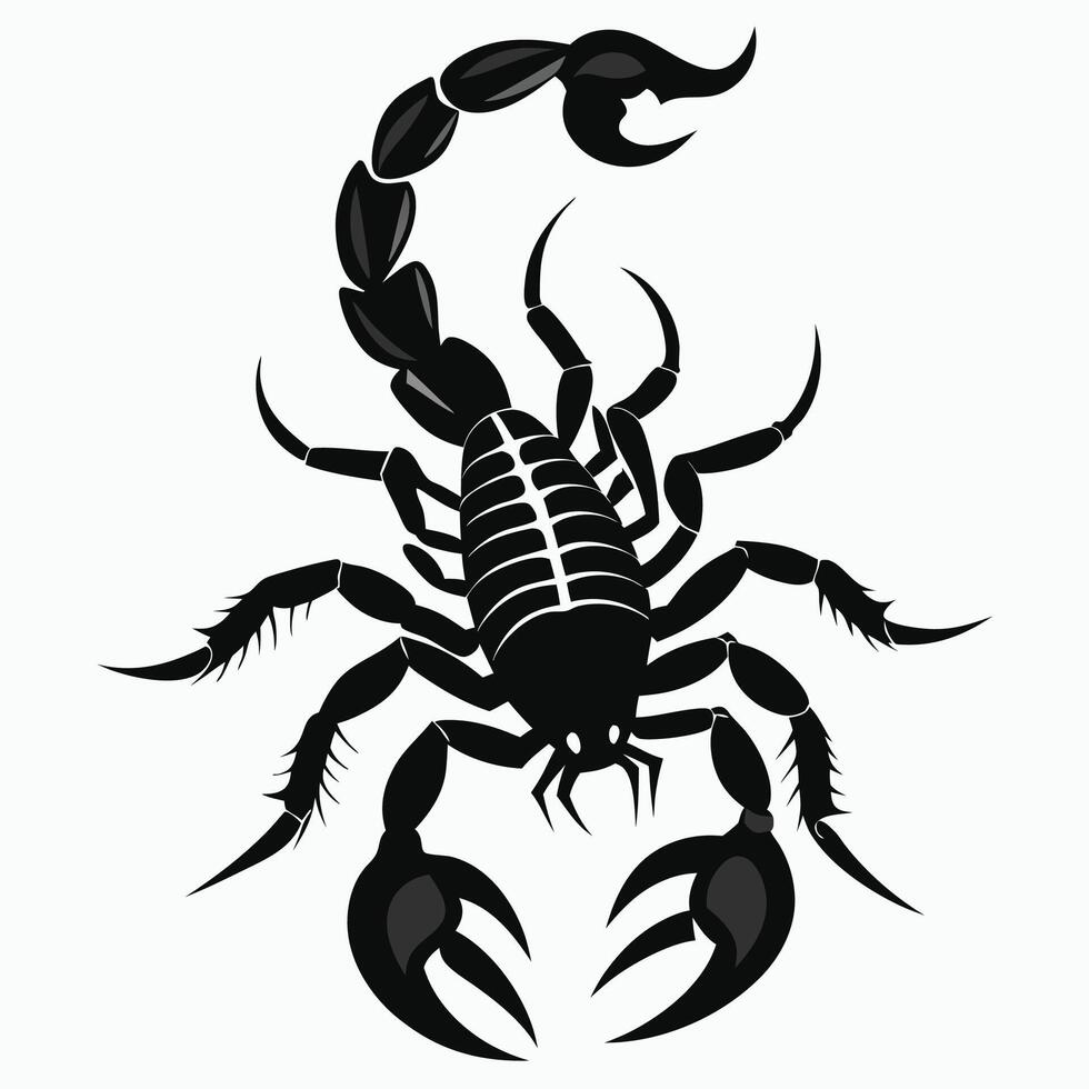 scorpion black silhouette on white background vector