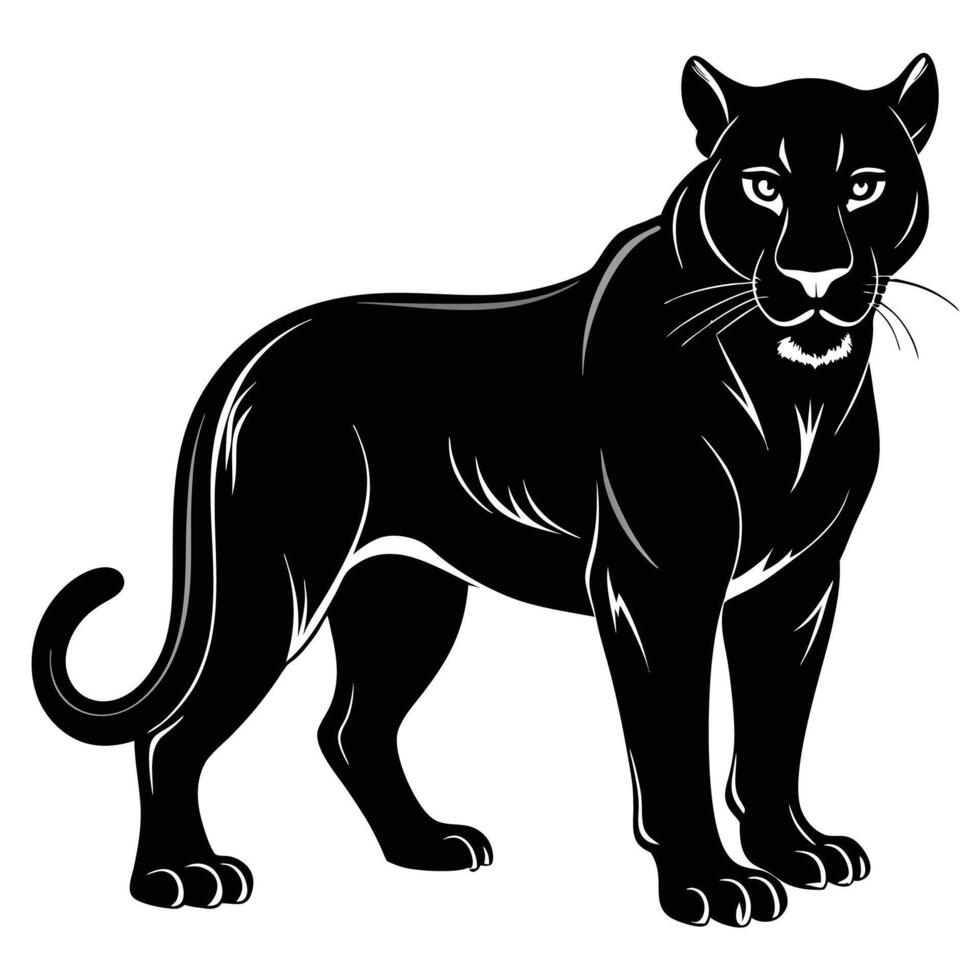 black panther standing on white background vector