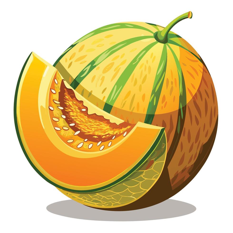 a melon is cut in half and has a green leaf vector