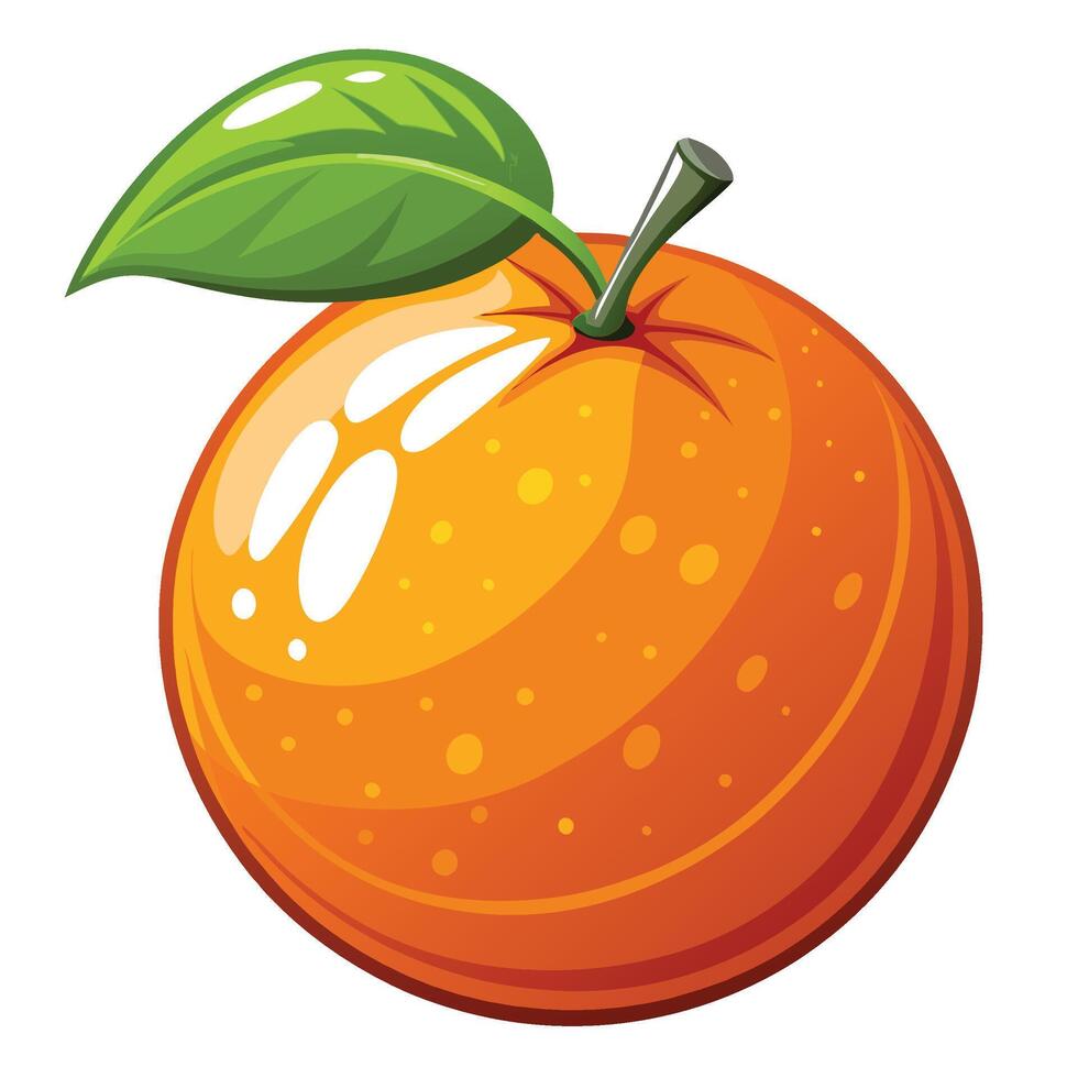 orange fruit illustration isolated on white background vector