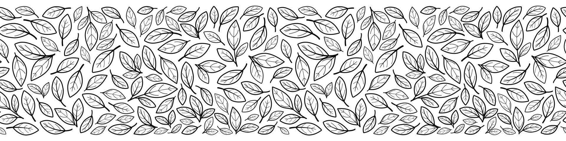 Hand drawn outline leaves seamless border. Design for banner, header. Isolated on white background. vector