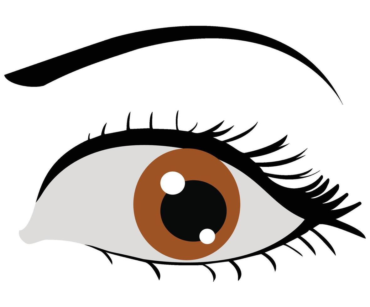Man eye realistic illustration vector