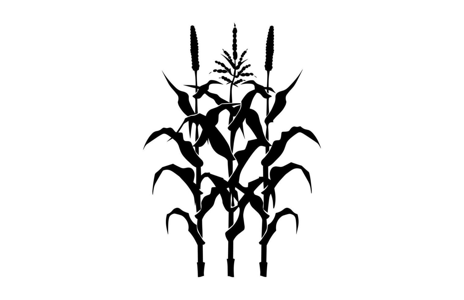Corn Crops Silhouette vector