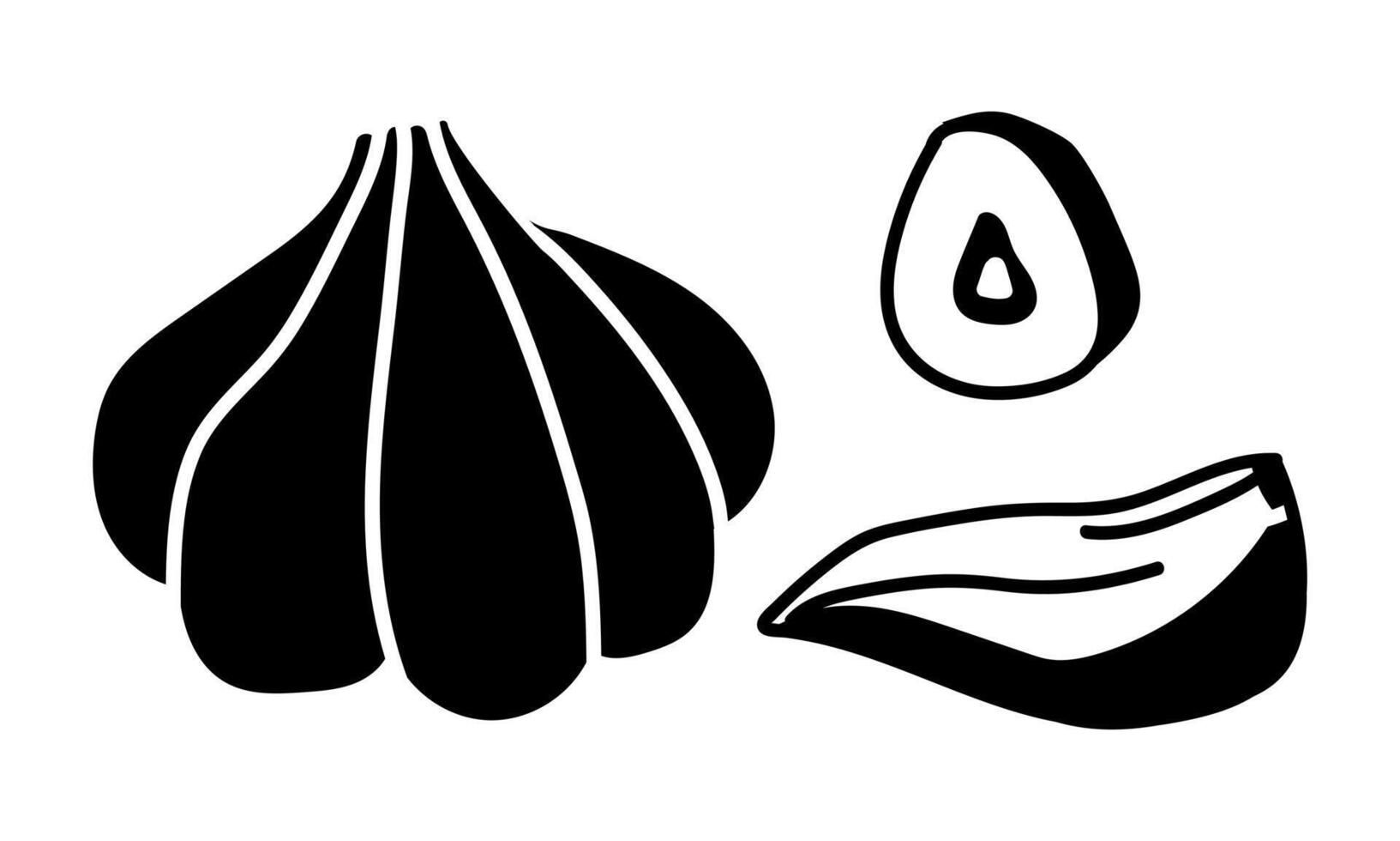 Garlic. whole onion, slice,an incision. Culinary seasonings and spices, hand-drawn. collection of sketches in small details. black outline on a white. illustration. Seasonings, spices, food additives vector